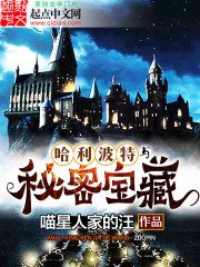 Harry Potter and the Secret Treasures - Novel Updates