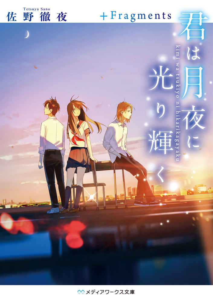 Hikari no Ou  Light Novel 