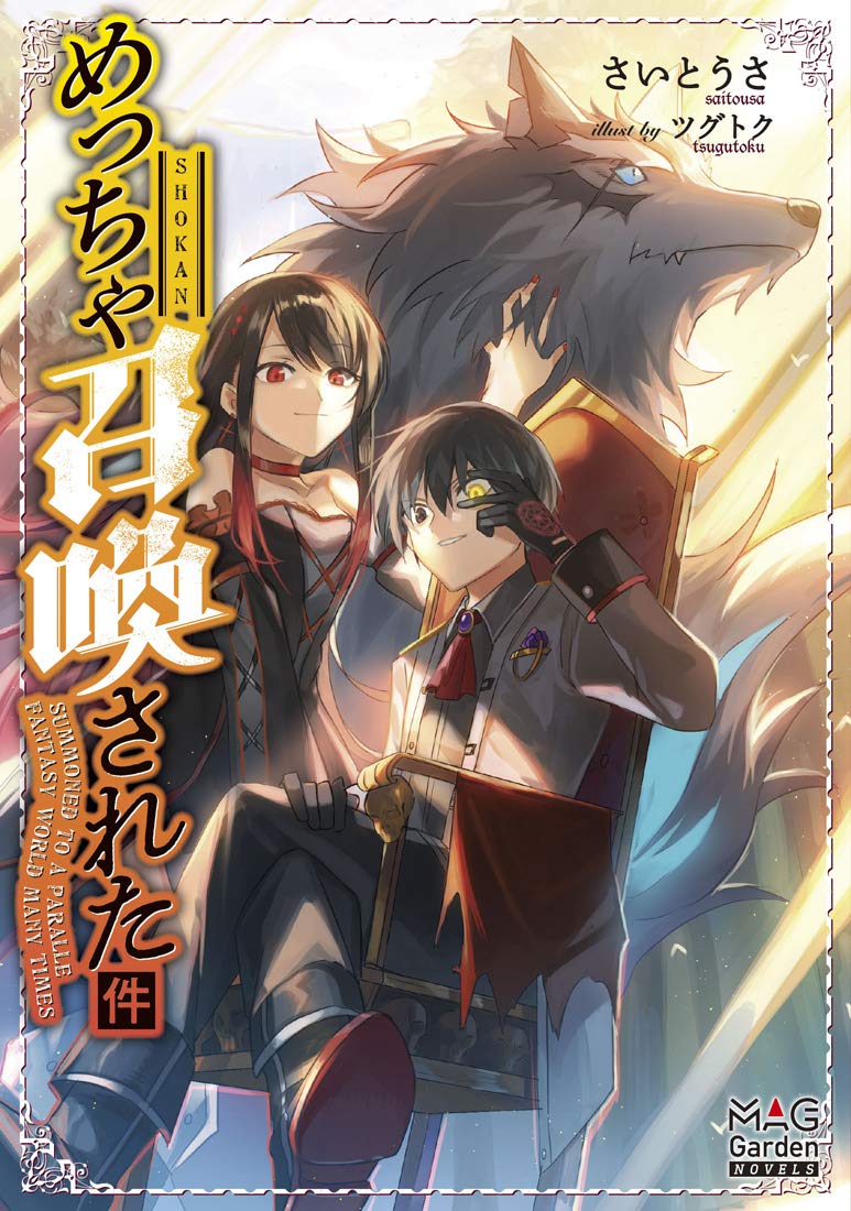Summoned to Another World for a Second Time Light Novel Gets