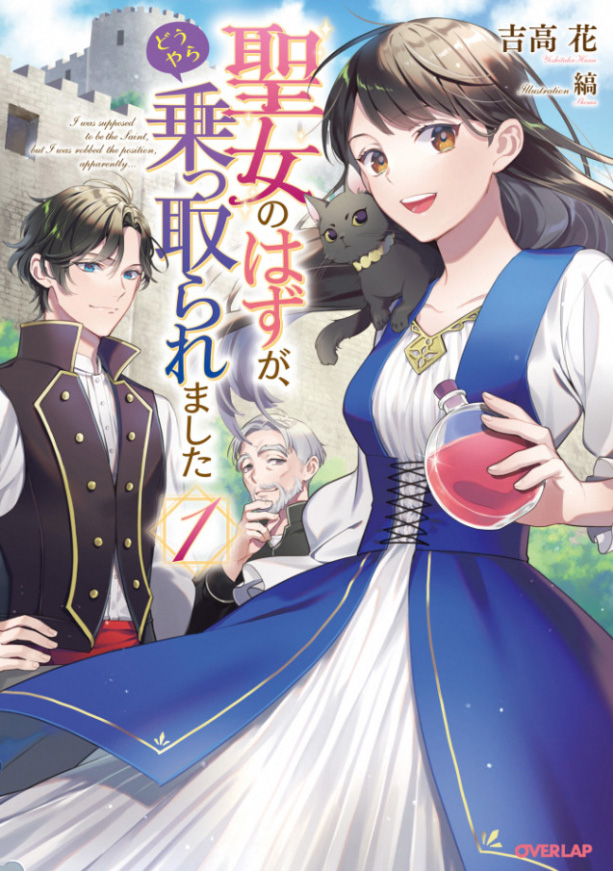 Seijo no Hazu ga, Douyara Nottoraremashita - Novel Updates