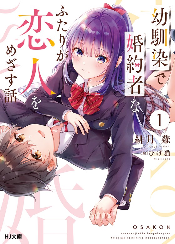 Light Novel Volume 6  Anime, Anime images, Romantic anime